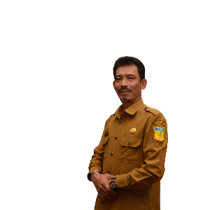 Ir.Iman Djuniawal,M.Si